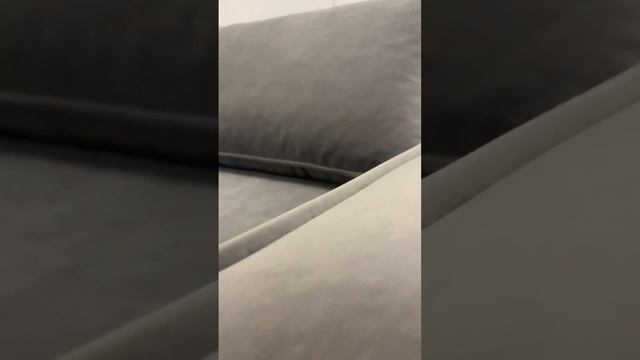 E34dd53868fcbb9d005e15782b298246