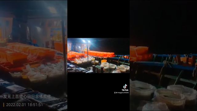 Released The Animals Life And Refuged Them In Buddhism