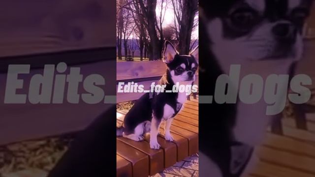 8214dfeb63de3a531b4a0af8083b8663