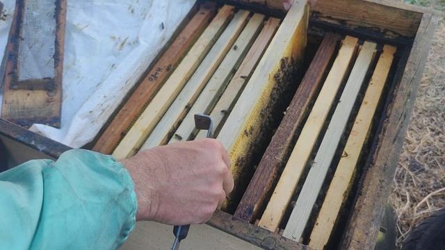 МАЛО ПЧЕЛЫ ДЛЯ ЗИМОВКИ что нужно чтобы перезимовали слабые семьи на 3/4 рамки ☝️??