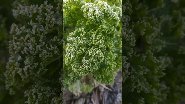 F65321c83ab26551eb3dd3ffdf543cca