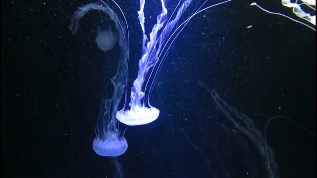 237ef31616ac5b300b4864175b9e8af1