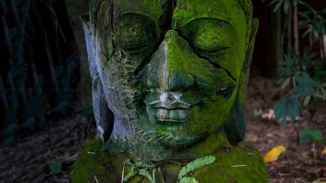 Y2meta.com - Shamanic Music _ Eternal Dance.mp4