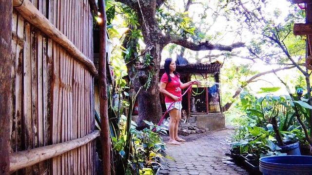 Pagdidilig At Paglilinis Sa Palibot Ng Mga Halaman I Banjo Buhay