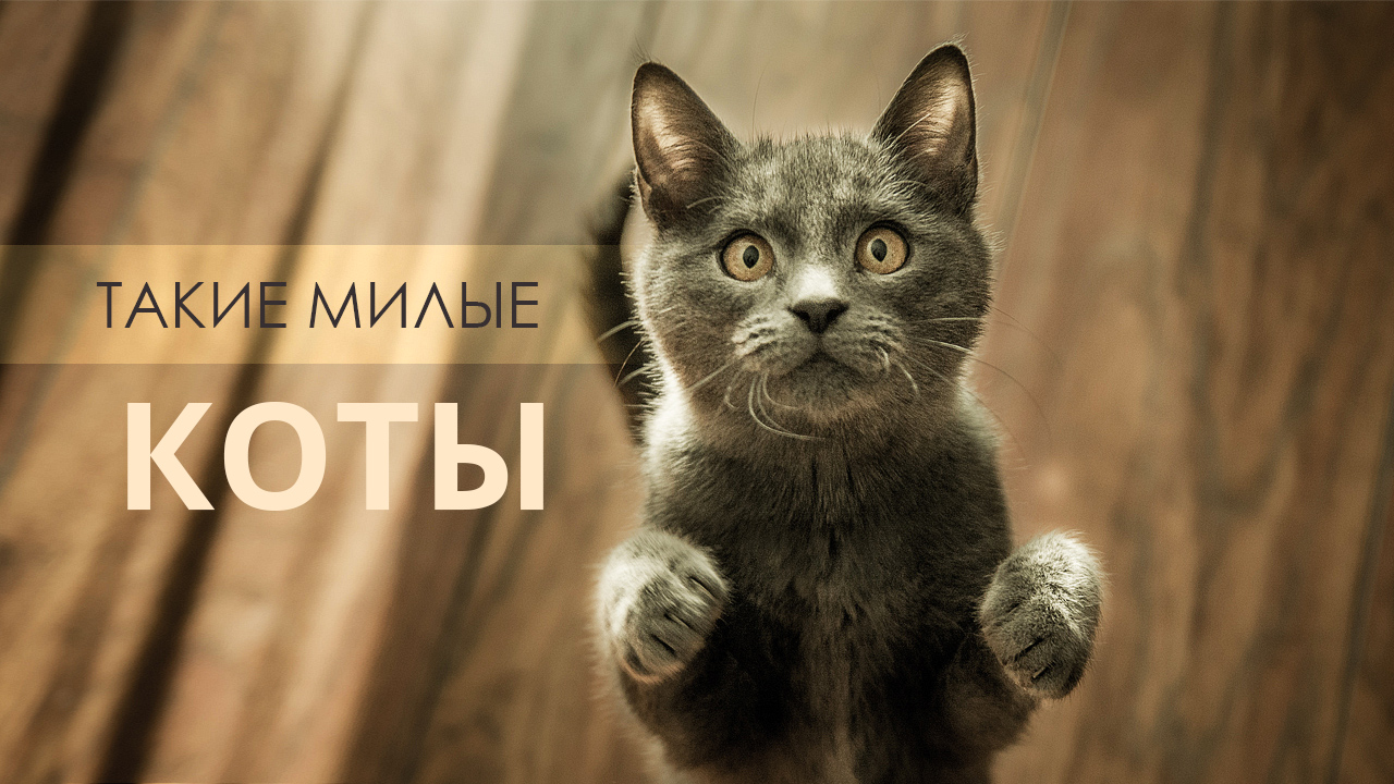 2bc5abce0be3ee46499c40d342382a93