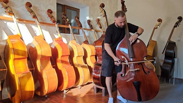 Контрабас №124