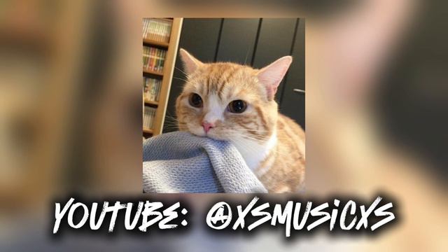 Daryana - Кто ты Speed Up