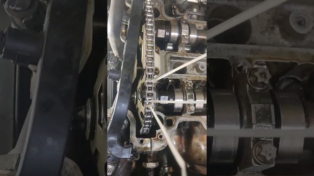 Зеленые экспедиции