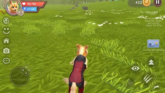 это сон или жизнь ?