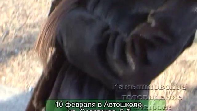Меховая компания «Палитра»