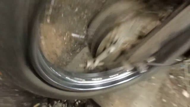 Колесо ява.