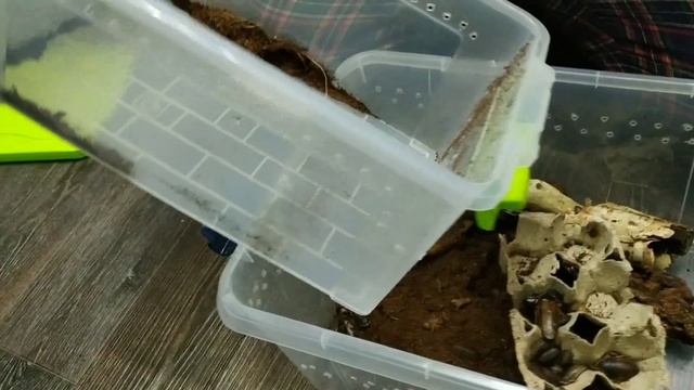 35bf3df89c2e575e8daa8de34b050b30