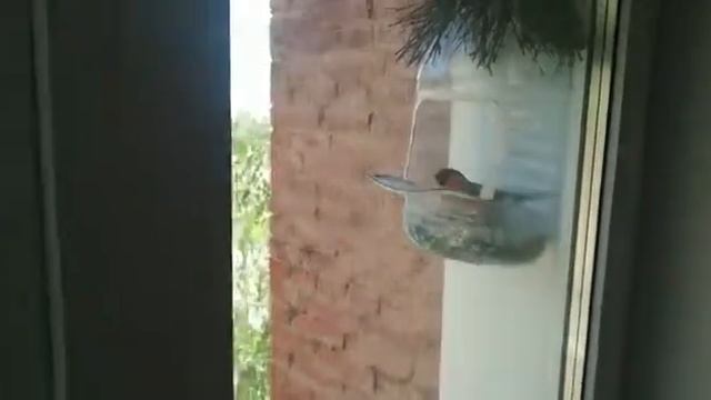 616a9e7cd3d715c6fa376a1b2e164966