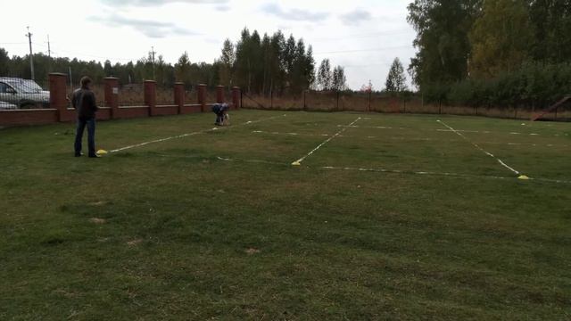 Фризби новички. Ежевика