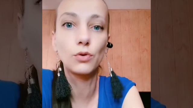 Хомяк и жара