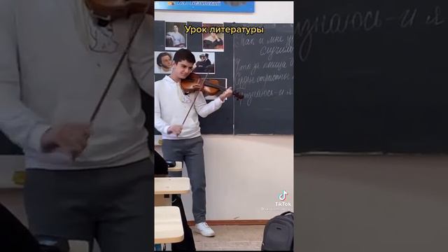 инстасамка на скрипке|сорвал урок со скрипкое Tik Tok #инстасамка #tiktok #липсиха