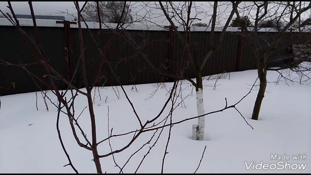 18536862573a2eb0b579d8e7867e6d02