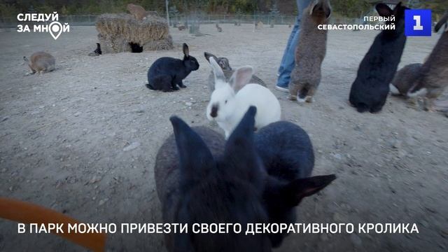 Первый Севастопольский