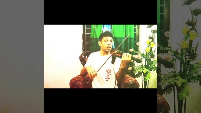 Autumn Leaves Violin Cover