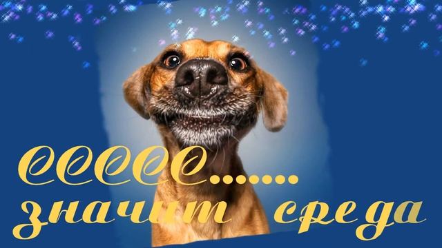 С добрым утром среды!!! Волшебного Вам дня и Ярких эмоций