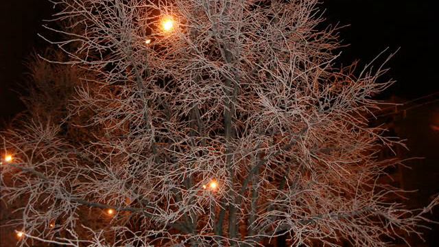 272396794924cae8c226710dc6639a29