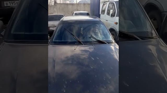 Автомир минибусов