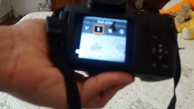 Canon Powershot SX70HS -  Flash Intégré