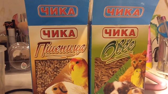 Как и из чего вырастить траву для хомяка!??