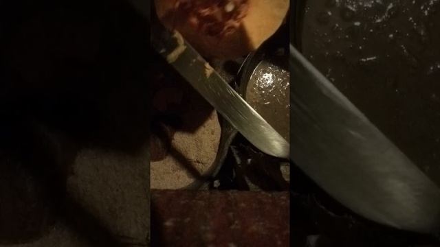 1f10970ea7165f5839cc45edadfcab91