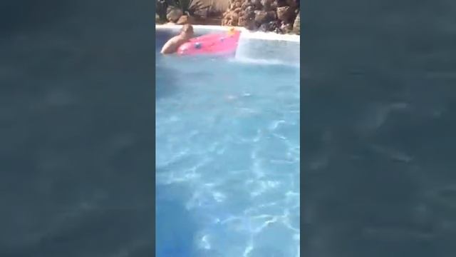 Mimosa Park, Palma Nova