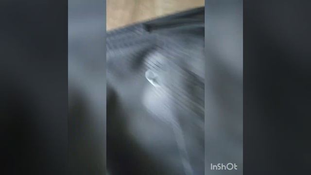 Когда мама сказала 