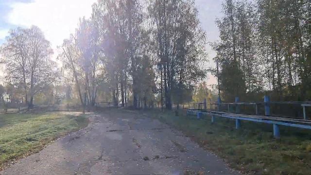 Осенний марафон из лета в осень. За время видео с деревьев облетели все листья