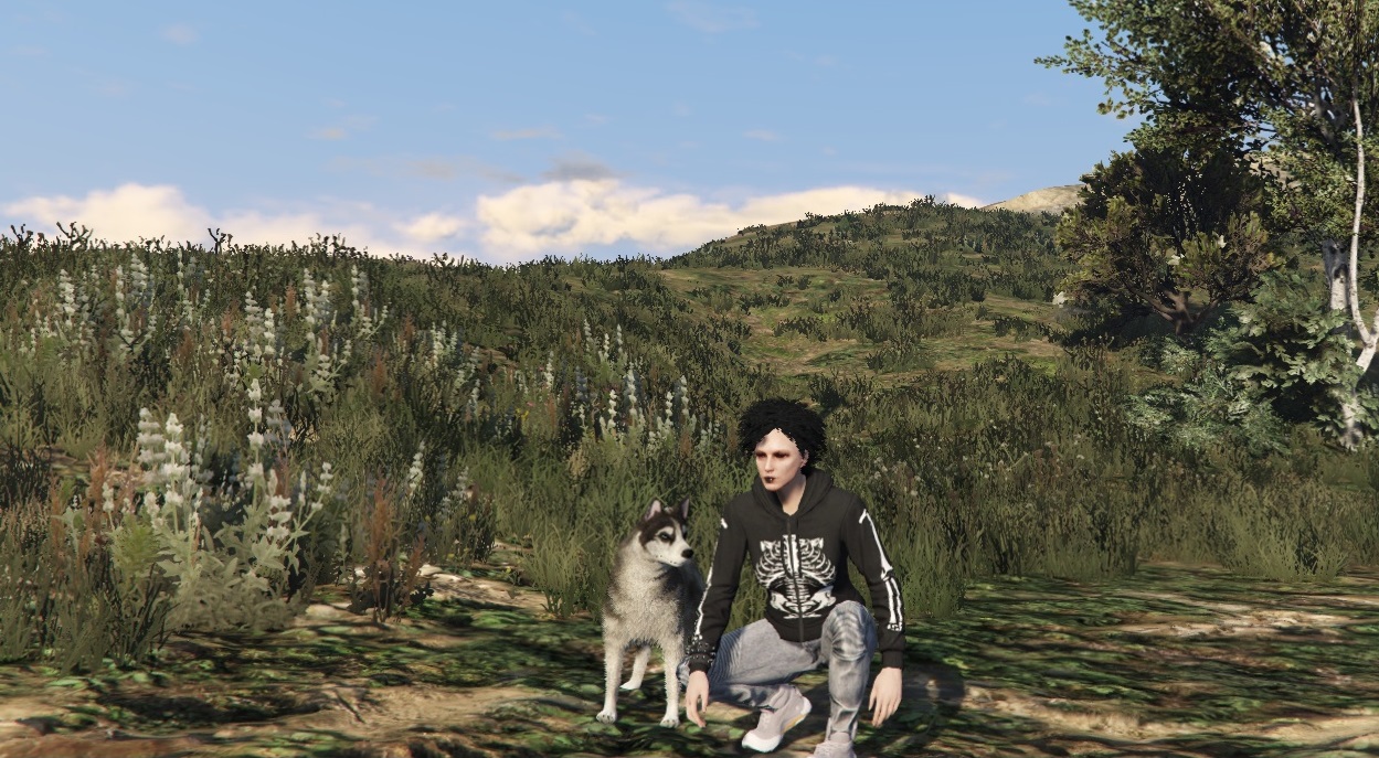 Хаски на FiveM в GTA 5 AIMGAME Alfa Test