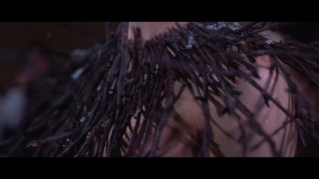 ДЕРЕВО ПАРК ГАЛА УЖИН