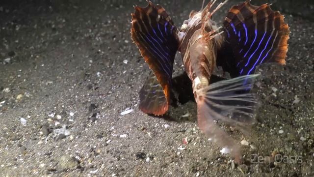 2 ЧАС Расслабляющая музыка 