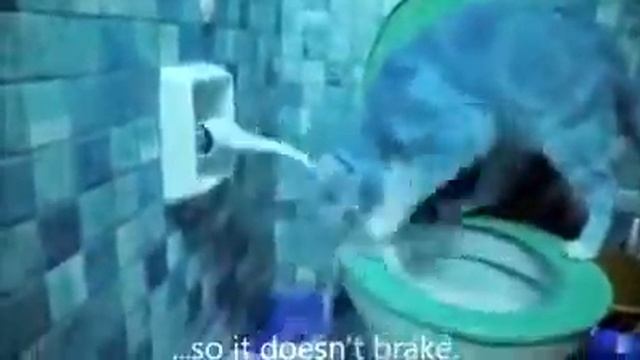 Научите своих котов ходить в туалет