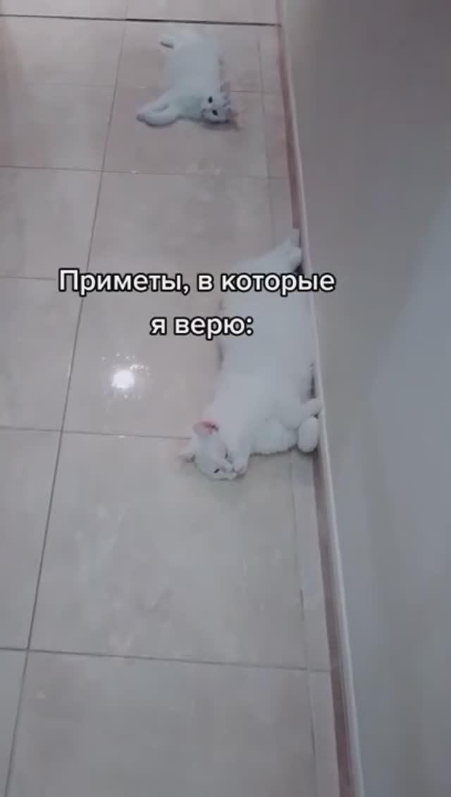 Сколько нас, хороших человеков?