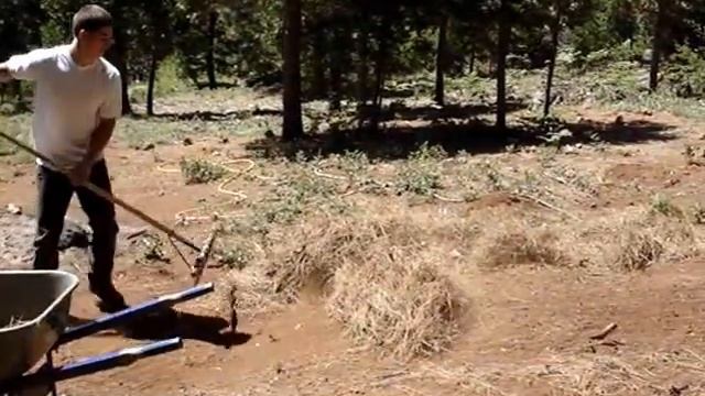 Raking Pine Needles W/RPM Hand Rake - Instructional Video