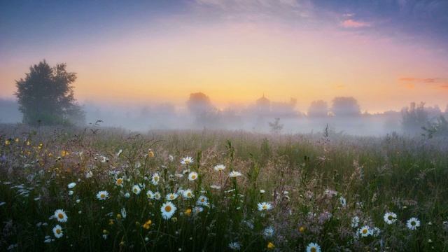 Псалом 140 (Тегилим 141) на русском и иврите