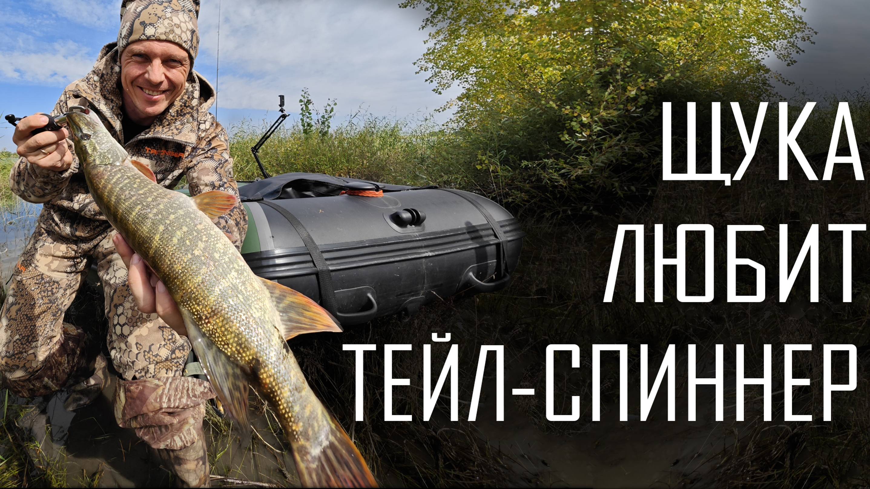 51ec5b3a6020c1980b8b66b37b8ea7bb