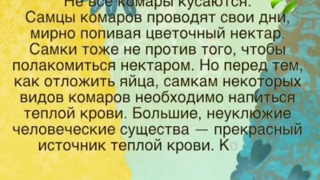 Бодрое утро 01 06 2016