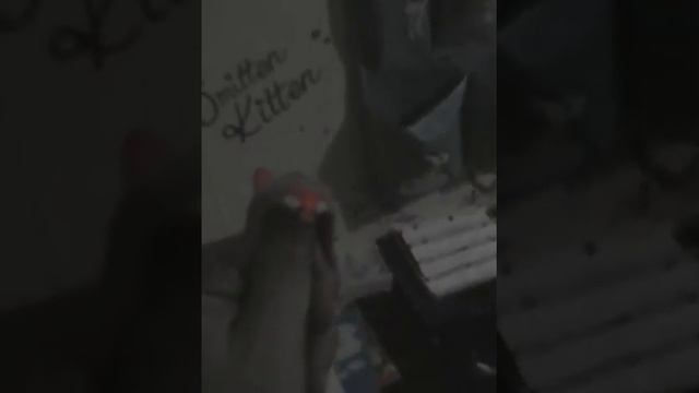 22 апреля 2016 г.