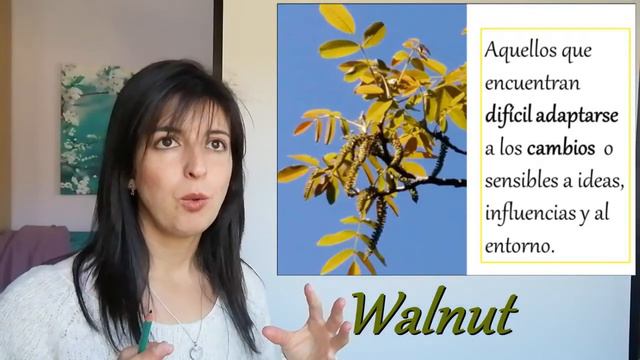 Flores De Bach HIPERSENSIBILIDAD Al ENTORNO