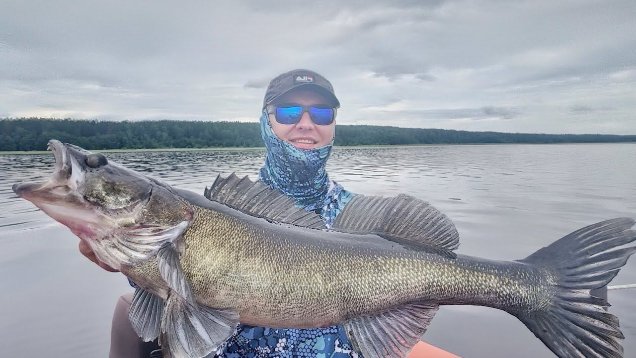 Пелагика с Haibo Overlord - обзор на рыбалке