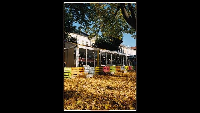 422023badafa0b47a5167ba5be32eda9