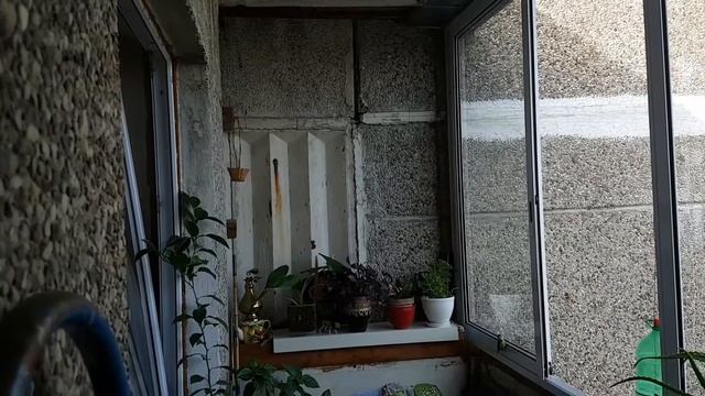 Птичку жалко или о бедной птичке замолвите слово!!!