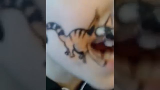 Аквагрим на лице.Рисунок на лице Face Art