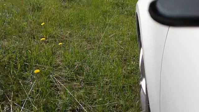 Мотиватор Skoda