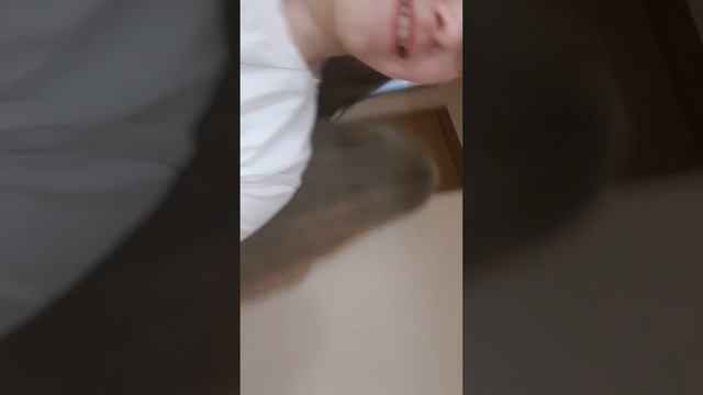 Солнечные исследователи: Зарница вселенной