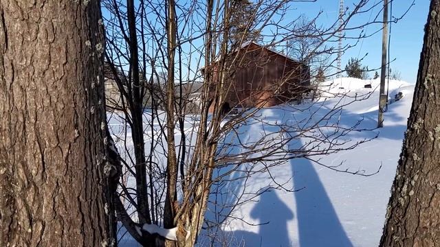 Polaris Wide Trak -93 In Powder Snow